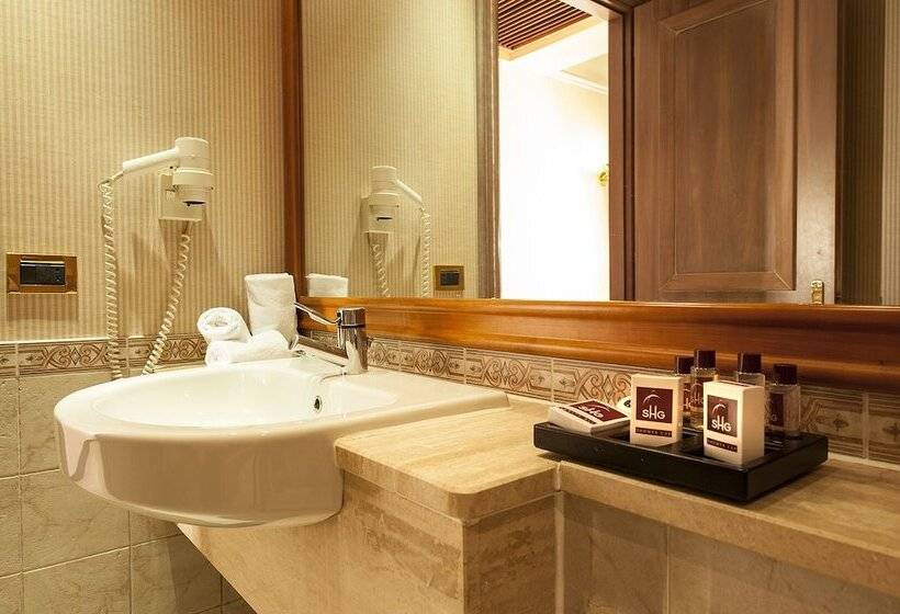 Shg Hotel De La Ville