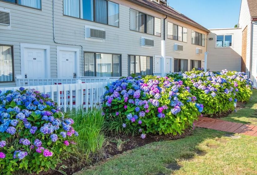 酒店 Admiralty Inn & Suites   A Red Collection