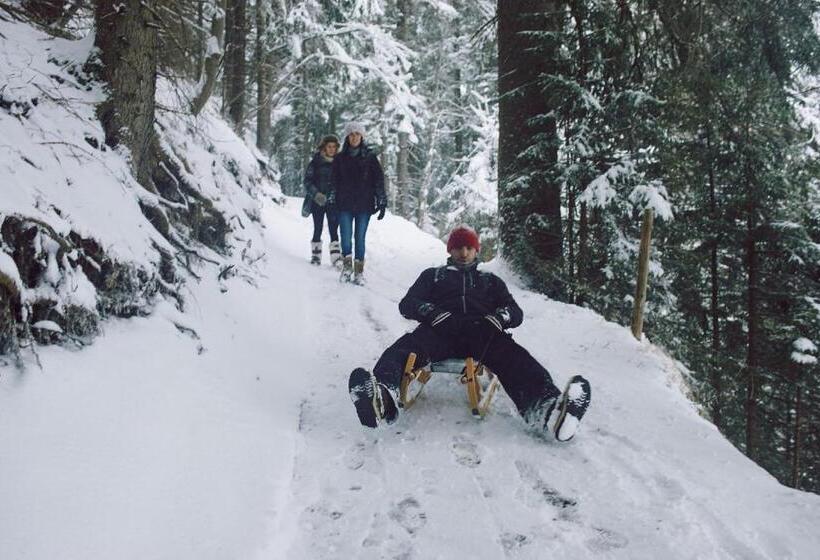 فندق The Cambrian