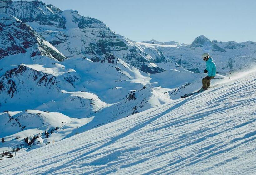 فندق The Cambrian