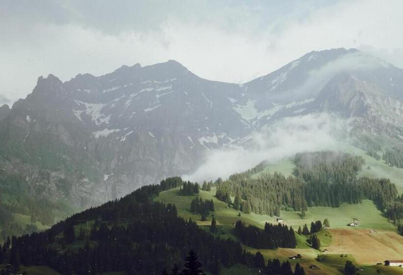 فندق The Cambrian