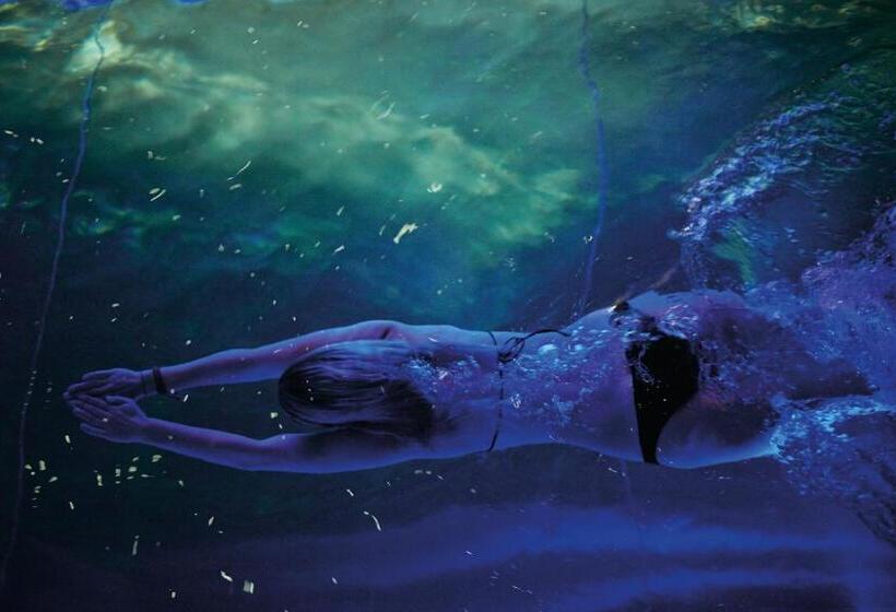 فندق The Cambrian