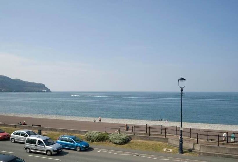 Отель The County