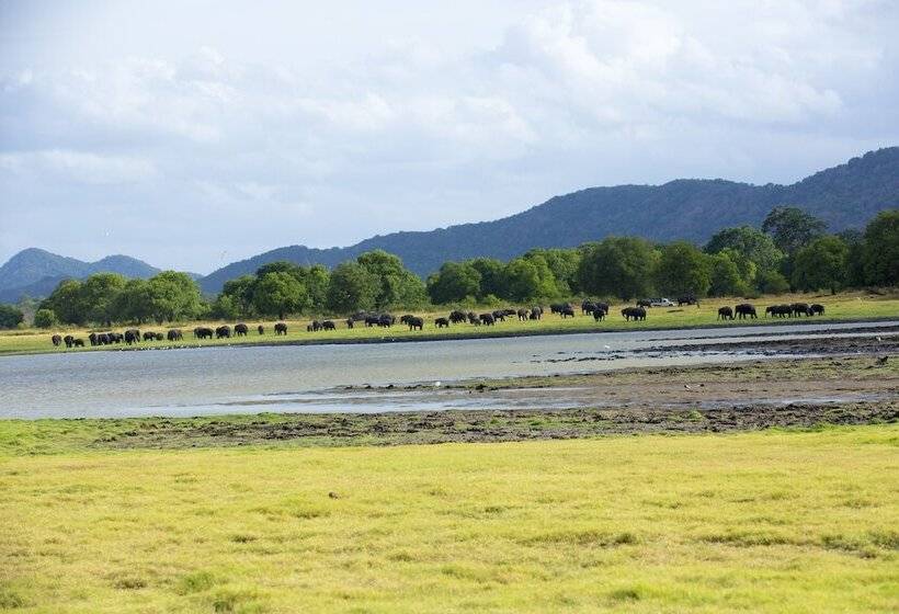 فندق The Deer Park