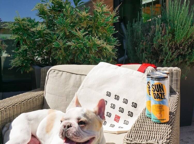 The Nest Hotel Palo Alto