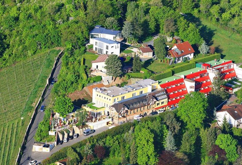 酒店 Wittelsbacher Höh