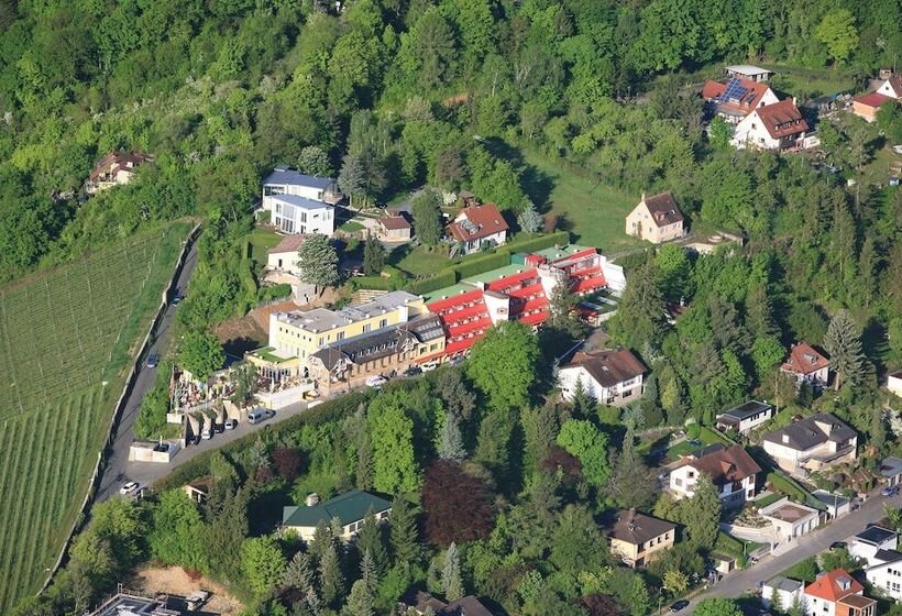 酒店 Wittelsbacher Höh