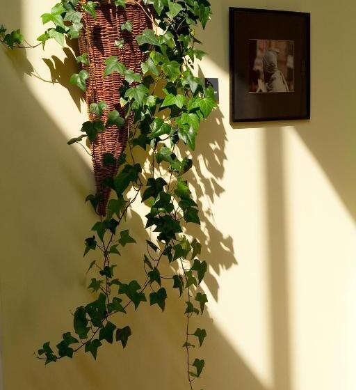 Резиденция Ceu Konferencia Központ