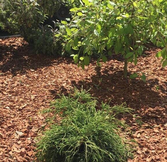 Резиденция Ceu Konferencia Központ