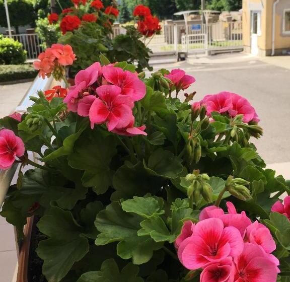 Резиденция Ceu Konferencia Központ