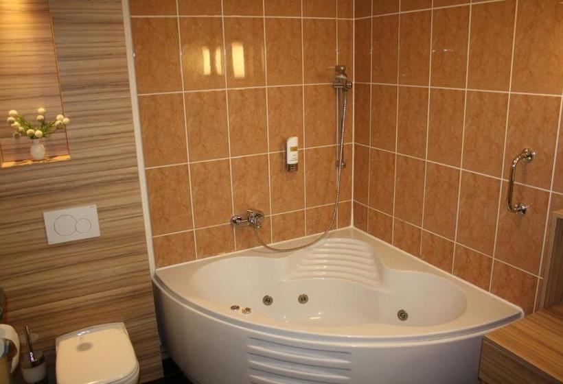 ホテル Star Inn  Regensburg Zentrum