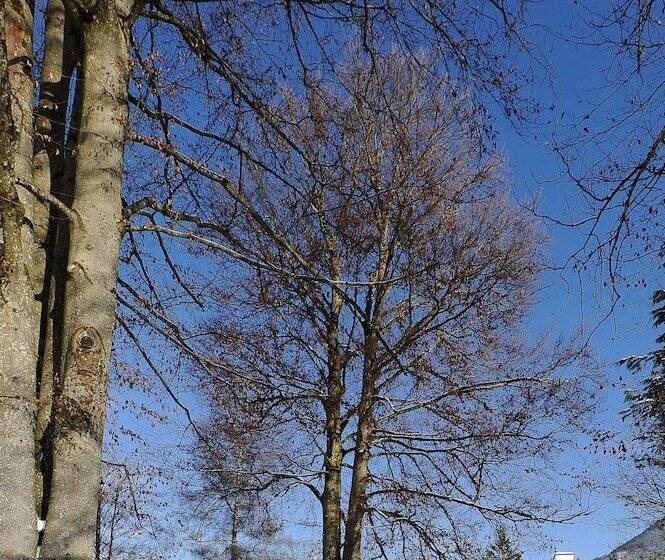 Stoll S Hotel Alpina