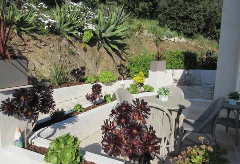 Villa Tricoli B&b Avec Piscine