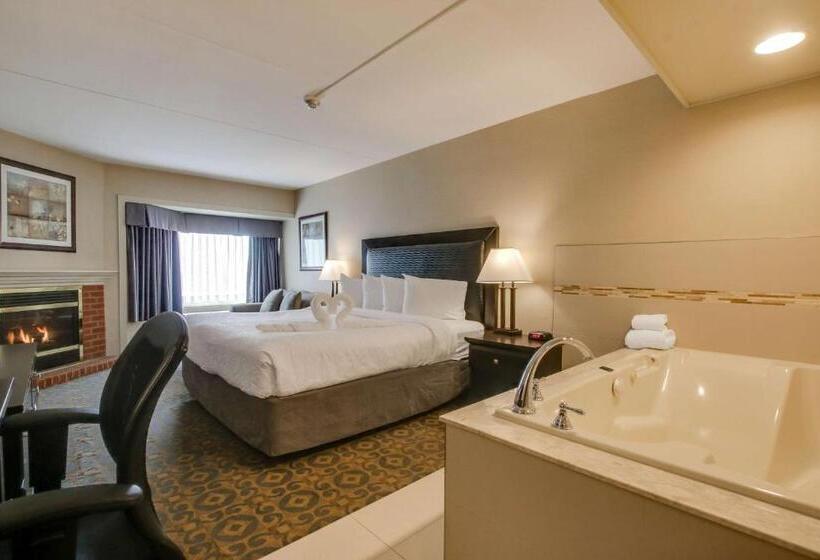 Best Western Brantford Hotel And Conference Centre