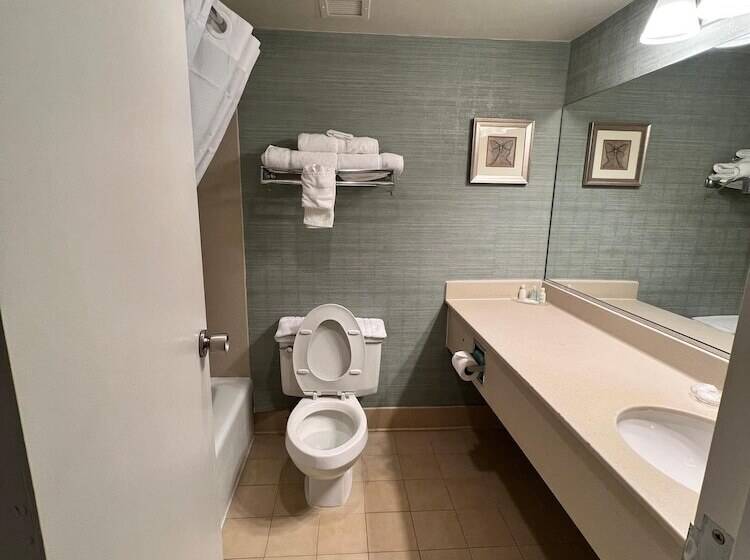 Clarion Hotel & Suites Convention Center Fredericksburg