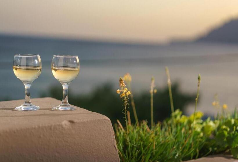 호텔 Alianthos Beach