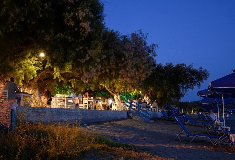 호텔 Alianthos Beach