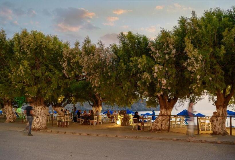 호텔 Alianthos Beach