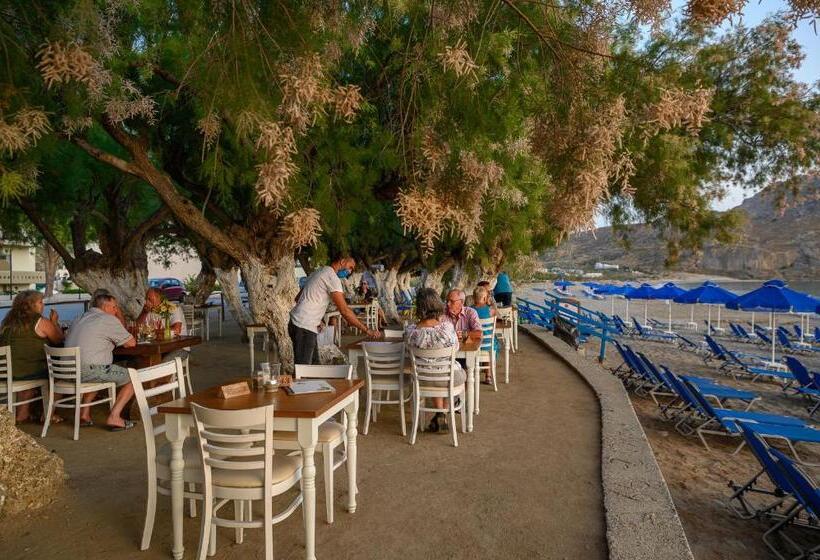 호텔 Alianthos Beach