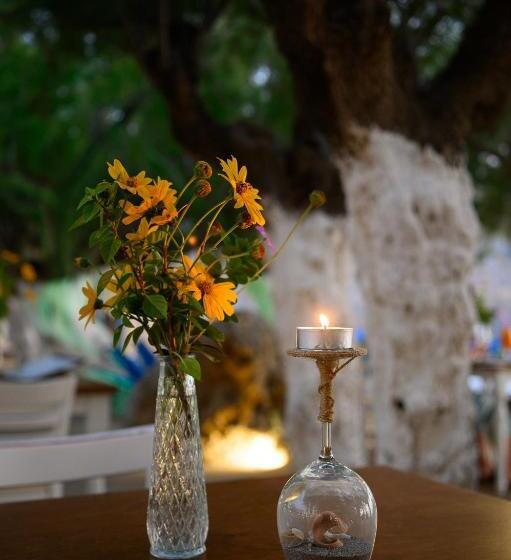 호텔 Alianthos Beach