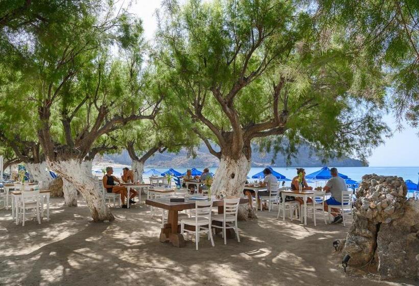 호텔 Alianthos Beach