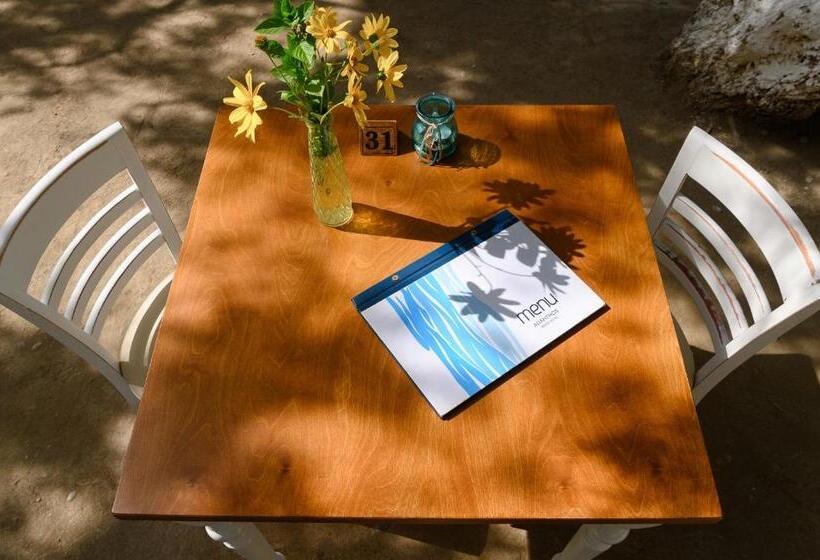 호텔 Alianthos Beach