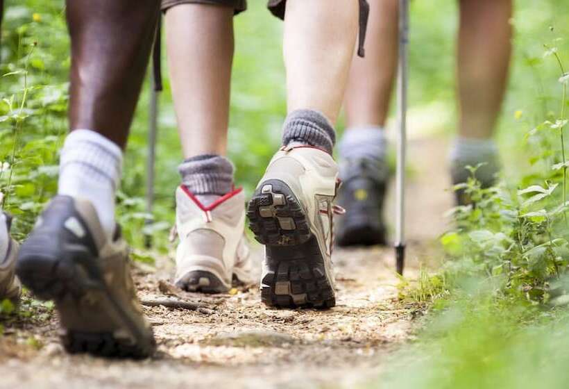 בית מלון כפרי Xecutive Inn And Suites