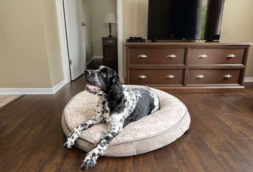 בית מלון כפרי Aurora Inn