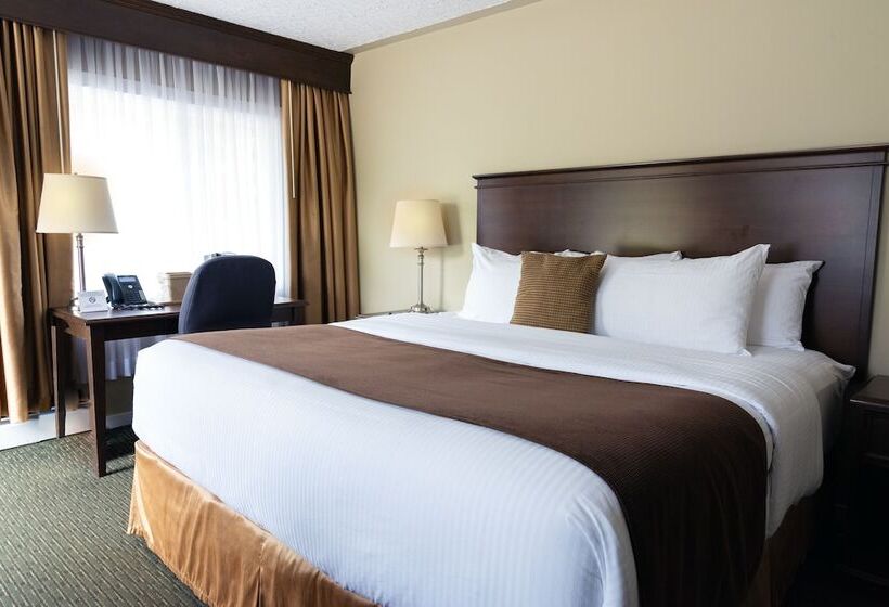 בית מלון כפרי Aurora Inn