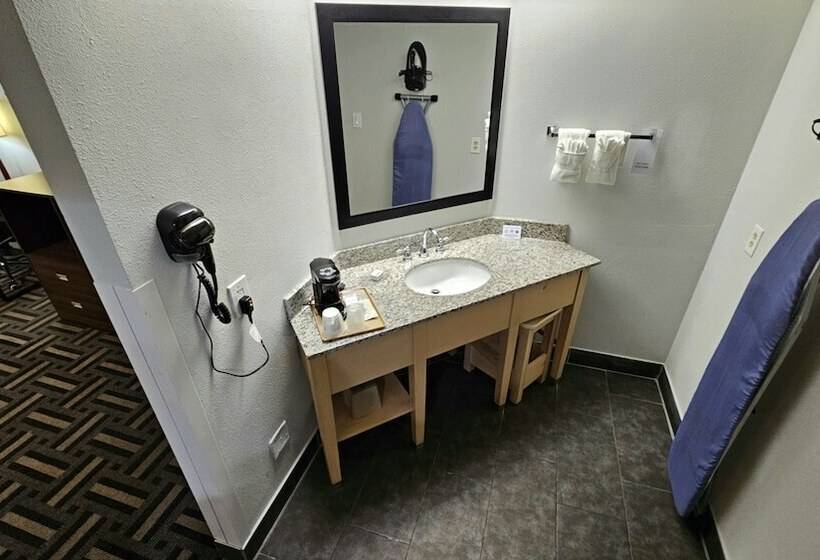 בית מלון כפרי Baymont By Wyndham Chicago/calumet City