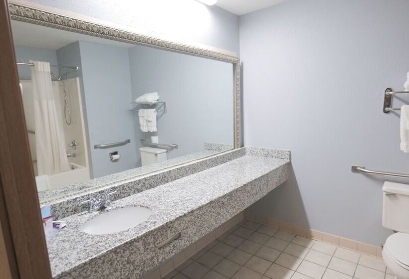 Отель Baymont By Wyndham Flint Airport North