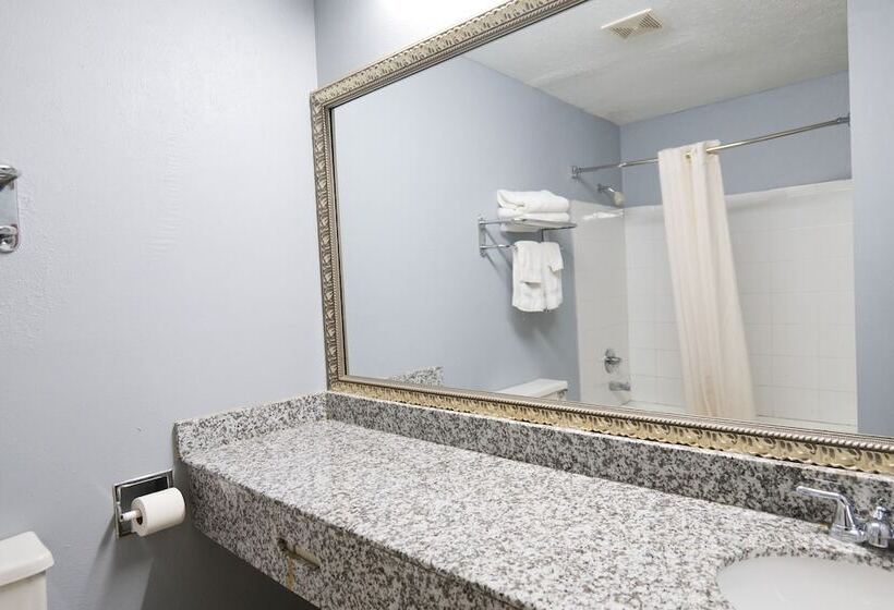 Отель Baymont By Wyndham Flint Airport North