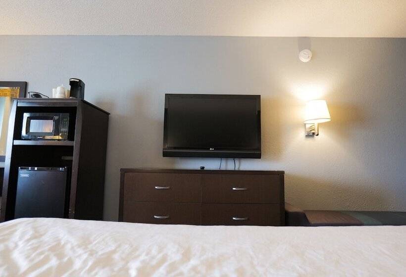 Отель Baymont By Wyndham Flint Airport North