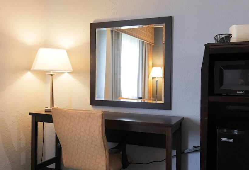 Отель Baymont By Wyndham Flint Airport North