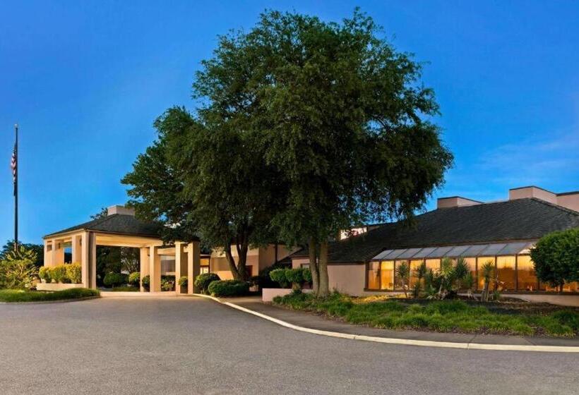 فندق Comfort Inn & Suites