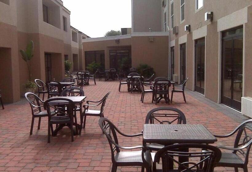 فندق Comfort Inn & Suites