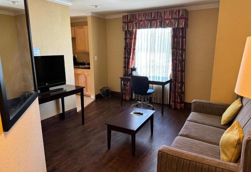 فندق Comfort Inn & Suites