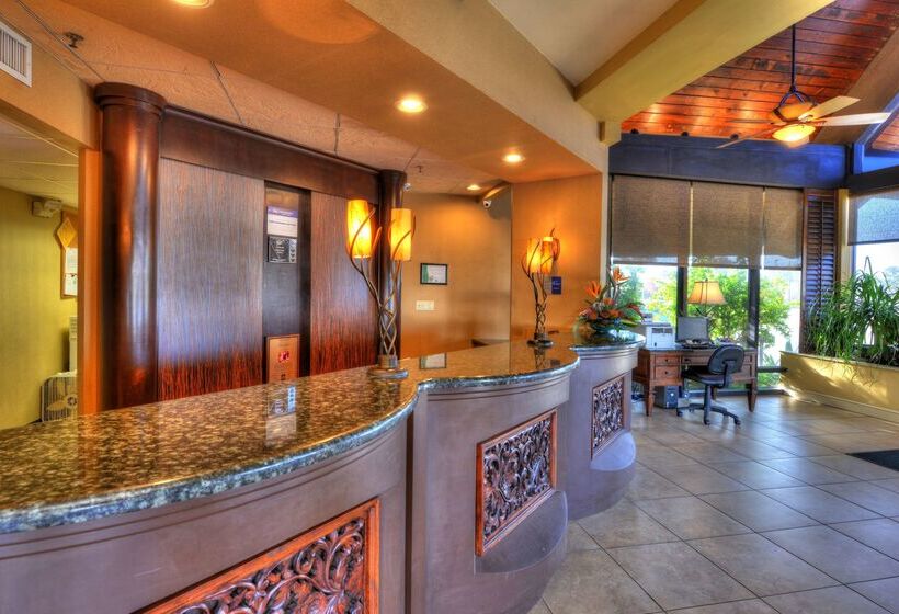 בית מלון כפרי Best Western Aku Tiki Inn