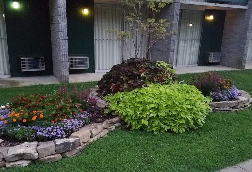 فندق Best Western Branson Inn And Conference Center