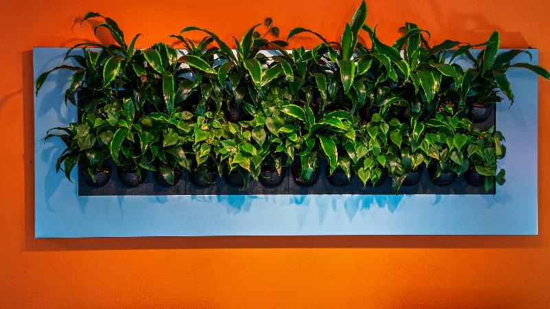 فندق Best Western Braselton Inn