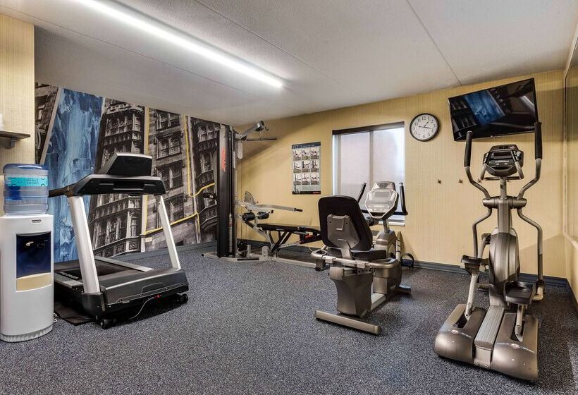 فندق Best Western Chicago  Downers Grove