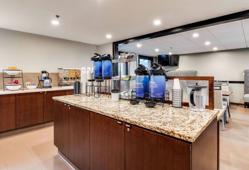 فندق Best Western Chicago  Downers Grove