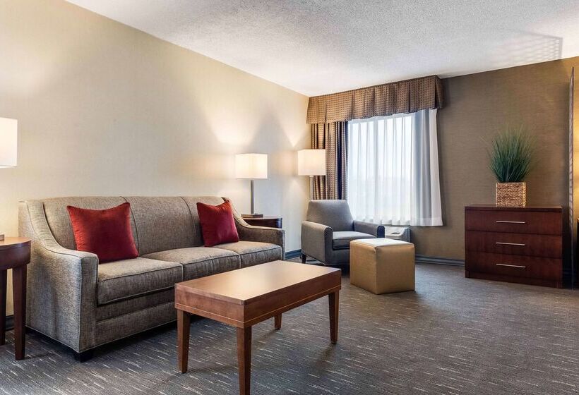 فندق Best Western Chicago  Downers Grove