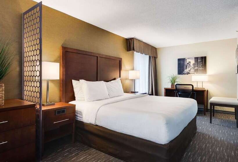 فندق Best Western Chicago  Downers Grove