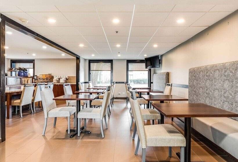 فندق Best Western Chicago  Downers Grove