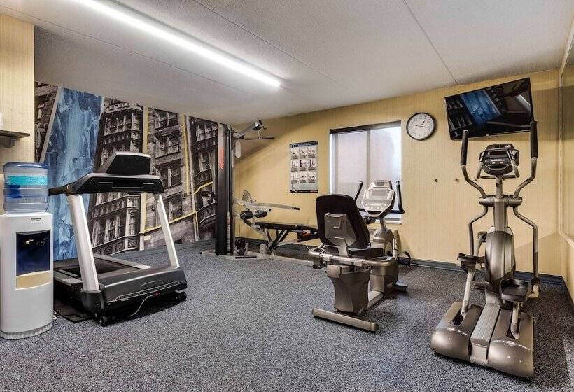 فندق Best Western Chicago  Downers Grove