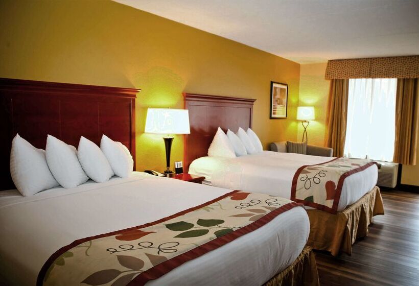 בית מלון כפרי Best Western Corbin Inn