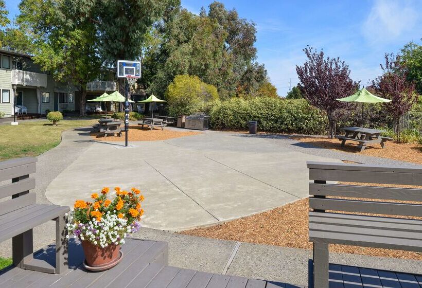 فندق Best Western Corte Madera Inn