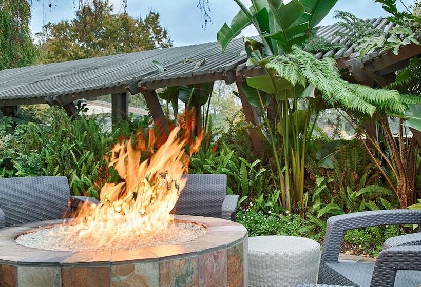 فندق Best Western Corte Madera Inn