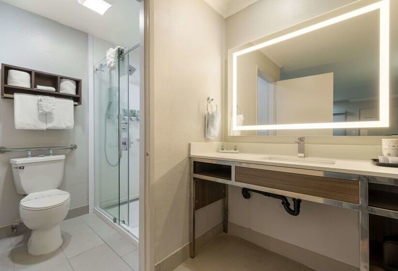 Best Western Courtesy Inn Hotel   Anaheim Resort At The Park